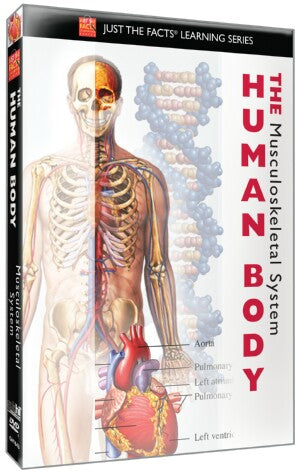 Just the Facts: The Human Body: Musculoskeletal