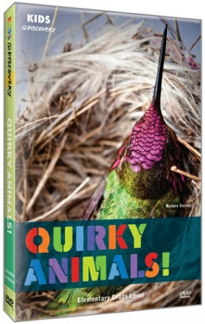 Quirky Animals!