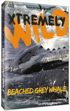 Xtremely Wild: Beached Grey Whale