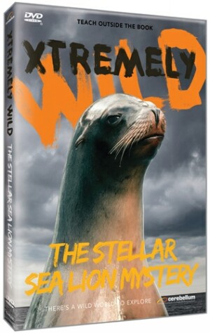 Xtremely Wild: The Stellar Sea Lion Mystery