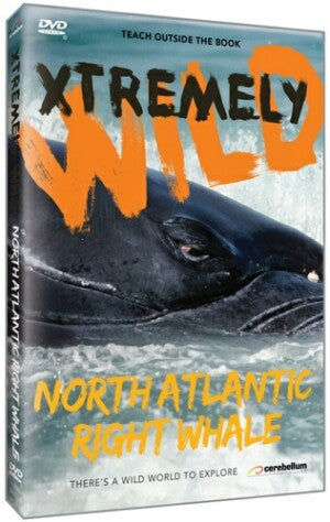 Xtremely Wild: The North Atlantic's Most Endangered Whale: The Rightwhale