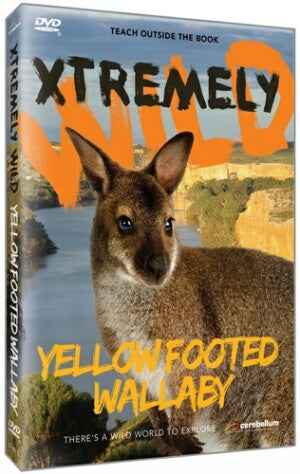 Xtremely Wild: Yellow Footed Wallaby