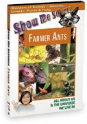 Biology - Farmer Ants