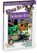 Biology - The Abundant Beetles