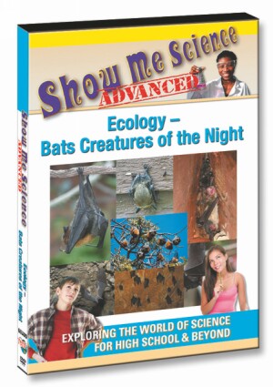 Ecology ‚Äì Bats Creatures of the Night