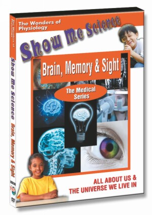 Brain, Memory & Sight
