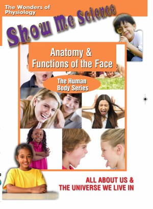 Anatomy & Functions of the Face