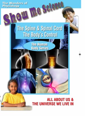 The Spine & Spinal Cord: The Body‚Äôs Control