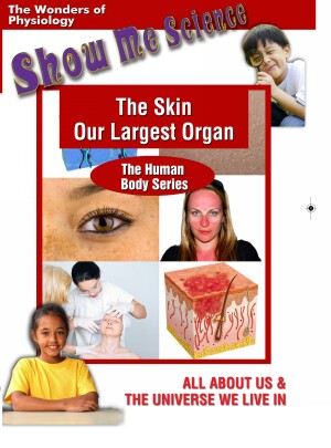 Skin ‚Äì Our Largest Organ