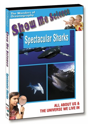 Spectacular Sharks