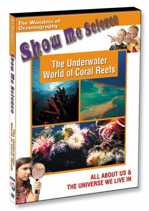 The Underwater World of Coral Reefs