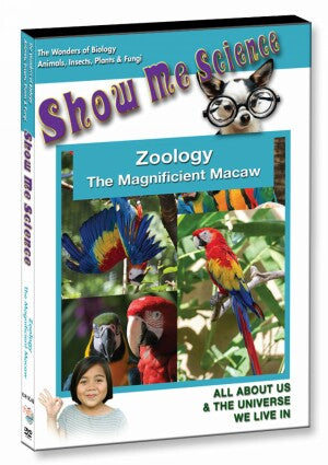 Zoology - The Magnificient Macaw