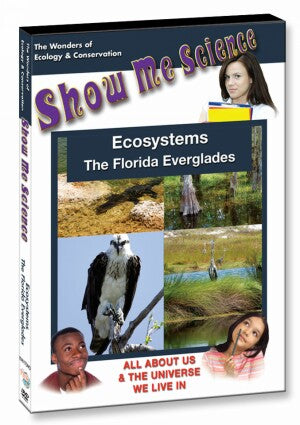 Ecosystems - The Florida Everglades