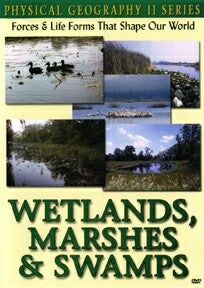 Physical Geography II: Wetlands, Marshes & Swamps