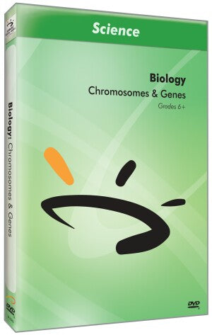 Chromosomes & Genes
