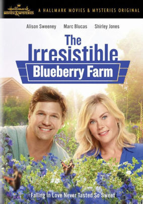 Irresistible Blueberry Farm